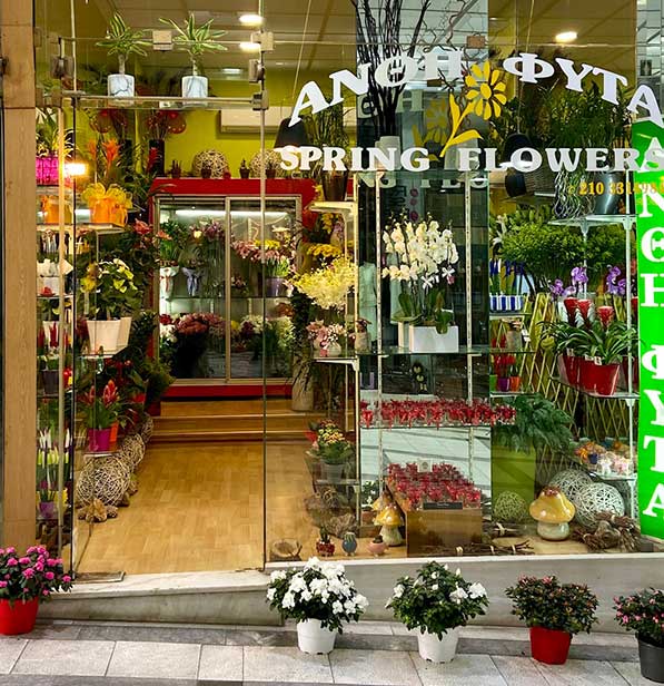 ανθοπωλεία
ανθοπωλείο Αθήνα
ανθοπωλεία Αθήνα
λουλούδια Αθήνα